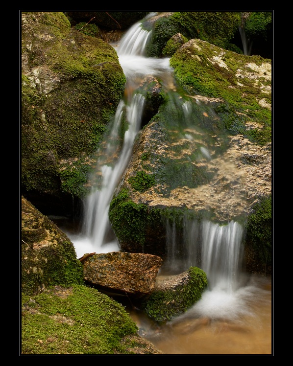 p6205448_1