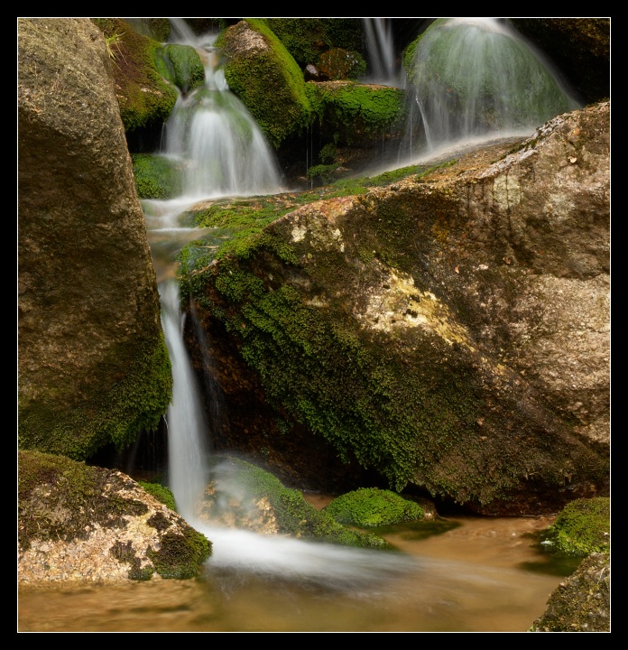 p6205474
