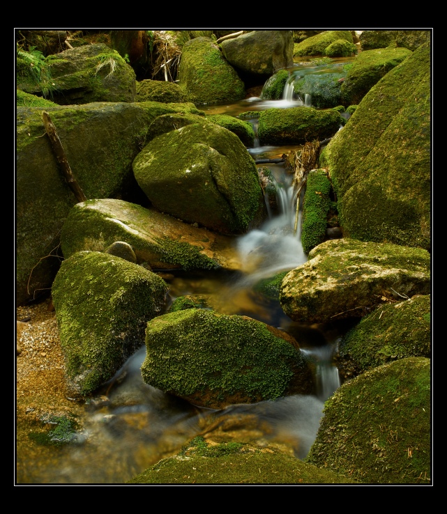 p6205494