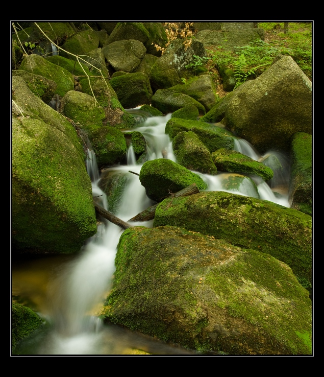 p6205570ok