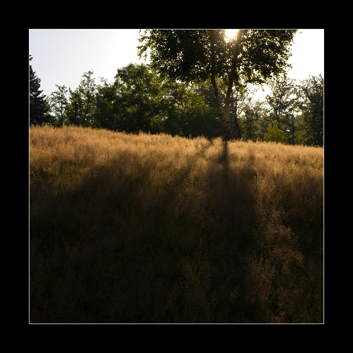 p7106258x