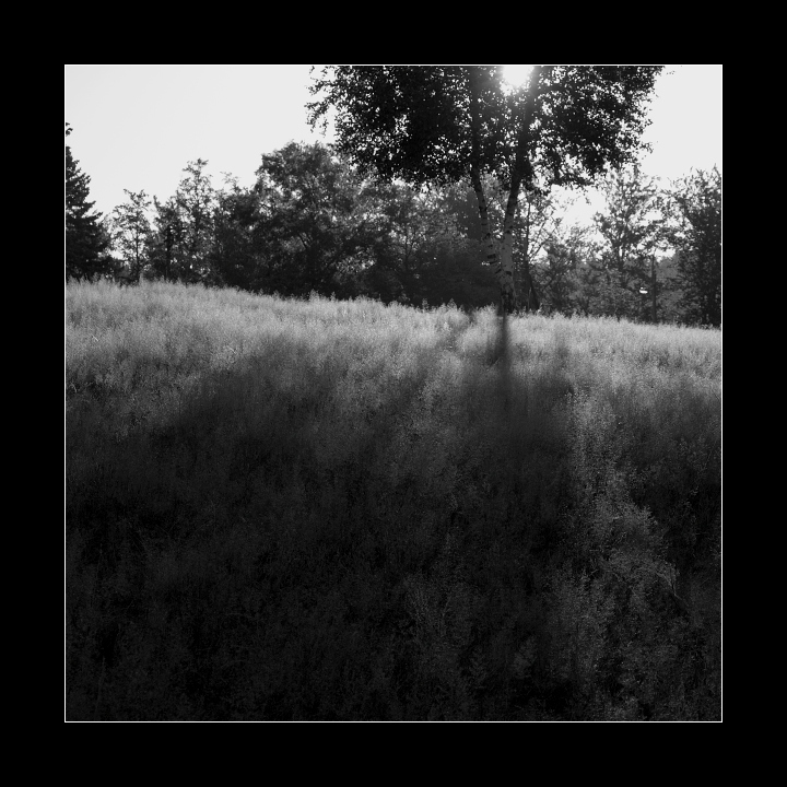 p7106258xx