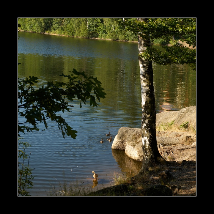 p7106274