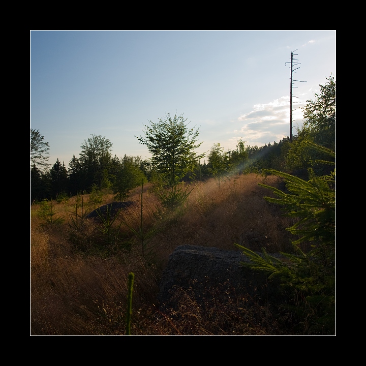 p7136365