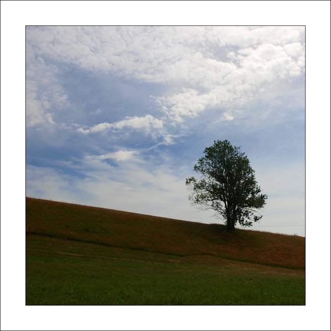 p7176480newxx