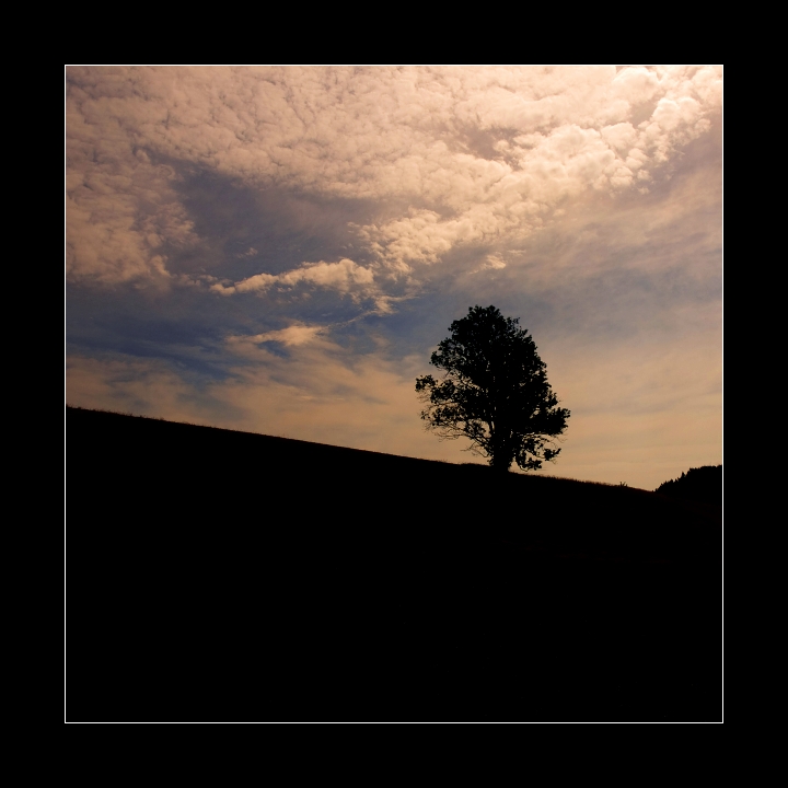p7176480x