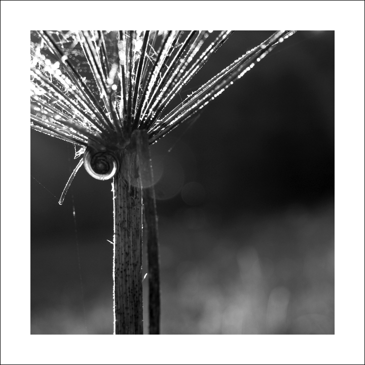 p6054428ok-_2xx