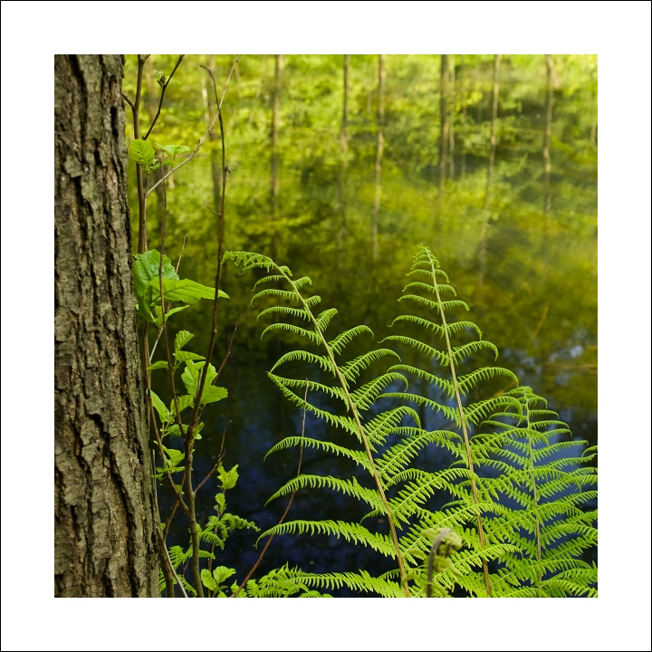 p6054514okx