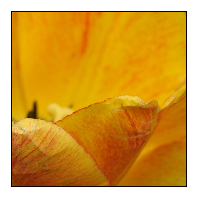 p5093448