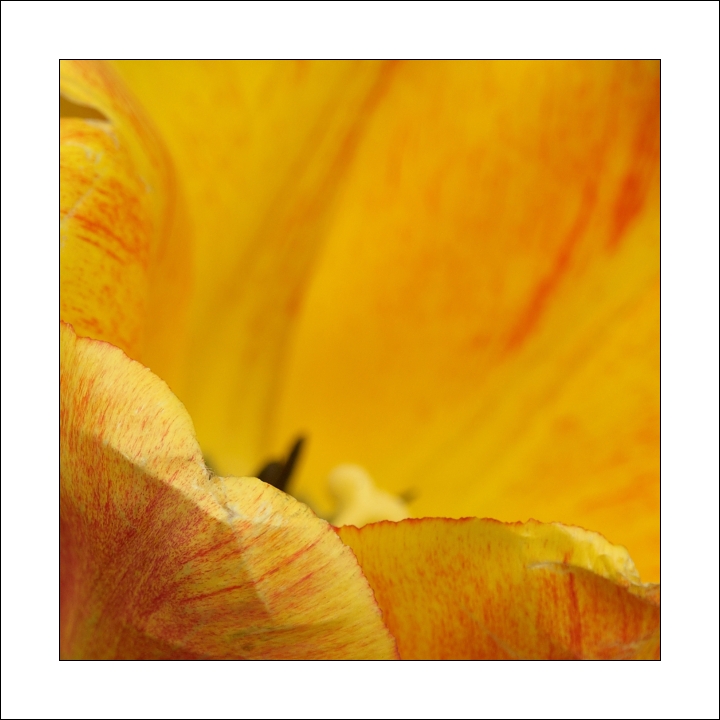 p5093448x