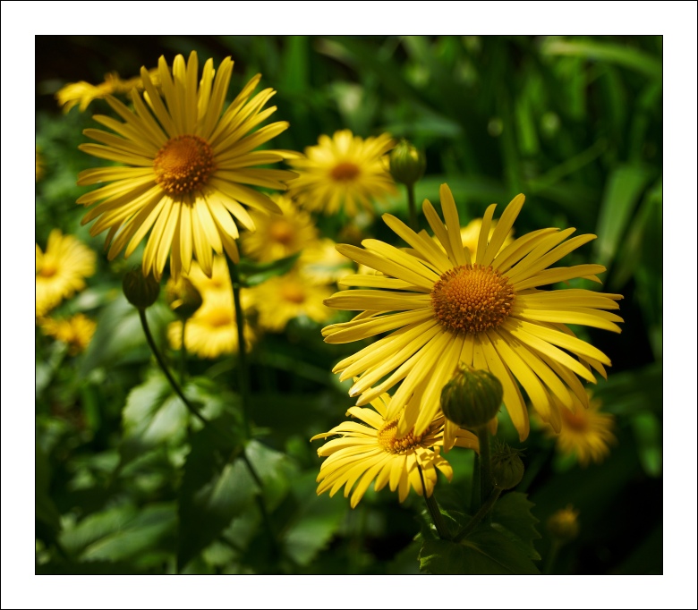 p5093421