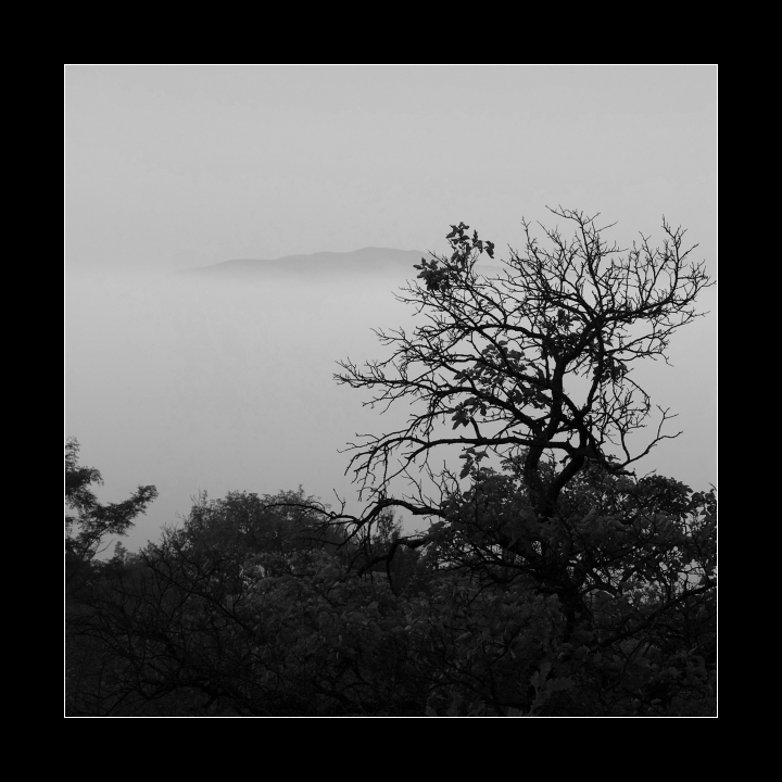 p80171191bw