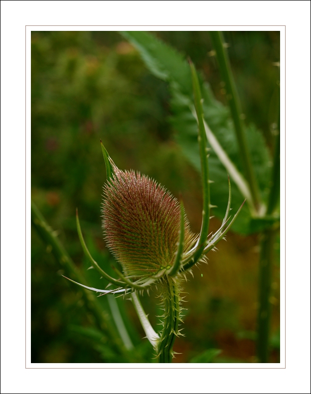 p7196570