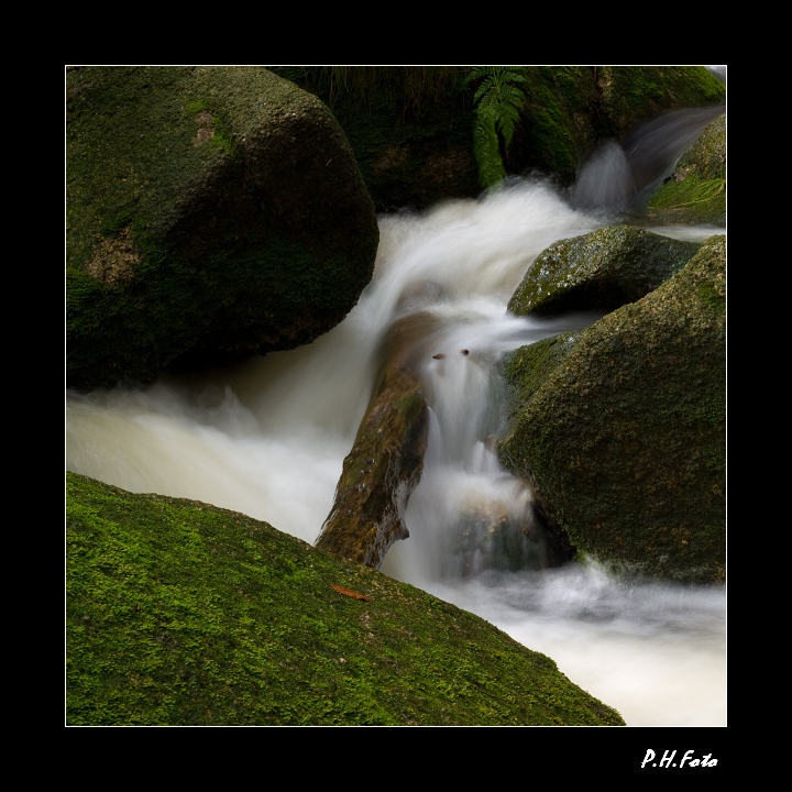 p8289079