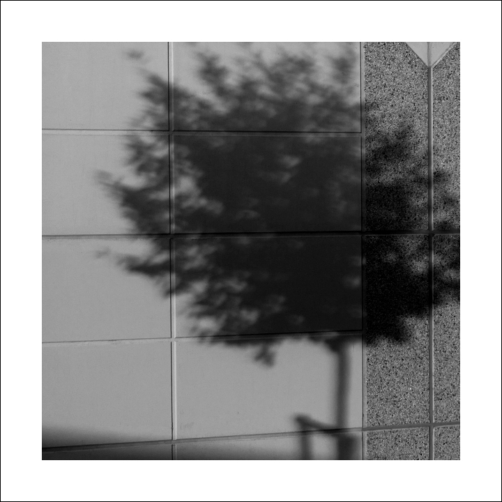 p8259024