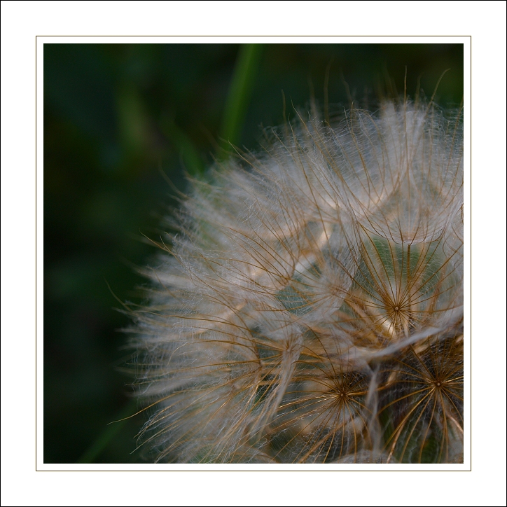 p7176507