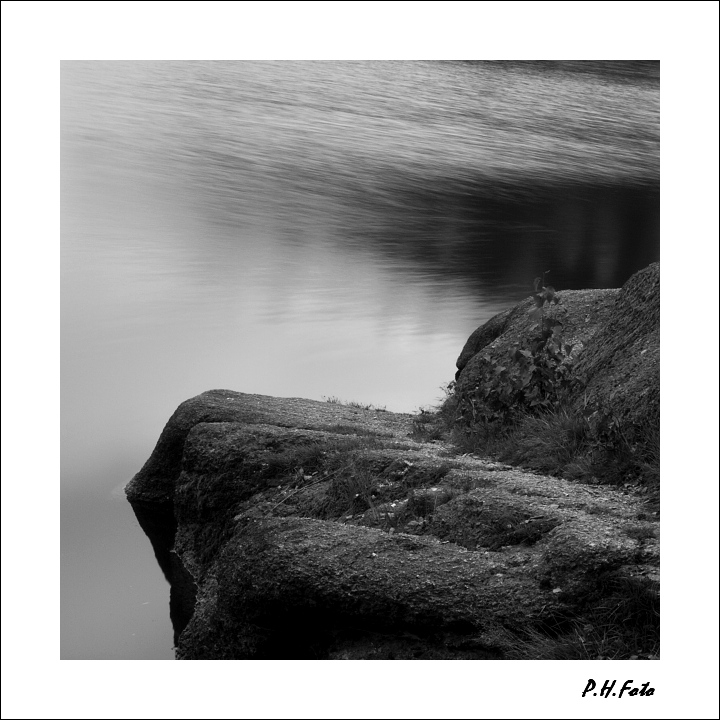 p9019313x