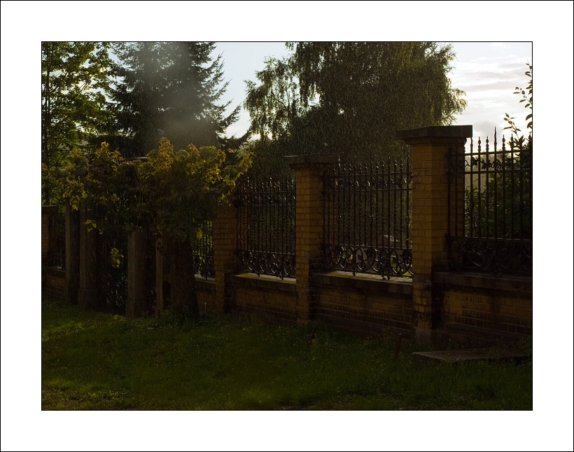 p8289204_1