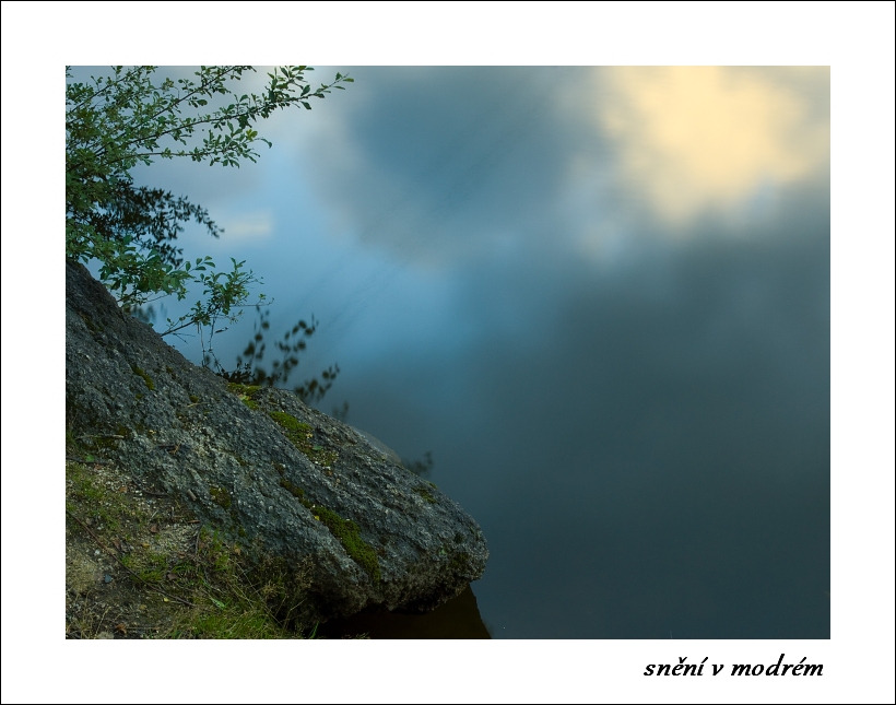 p9019305_1
