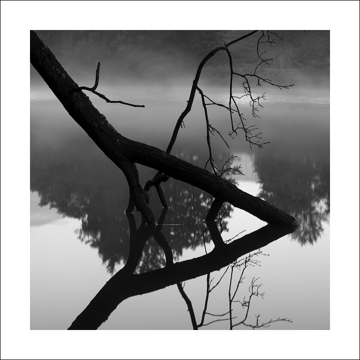 p9049358