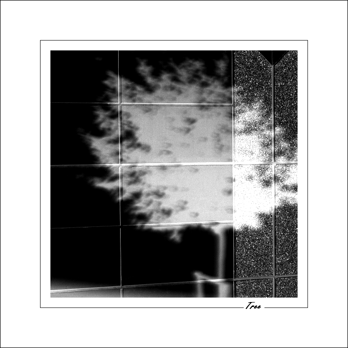 p8259024x