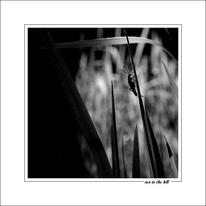 p6084815