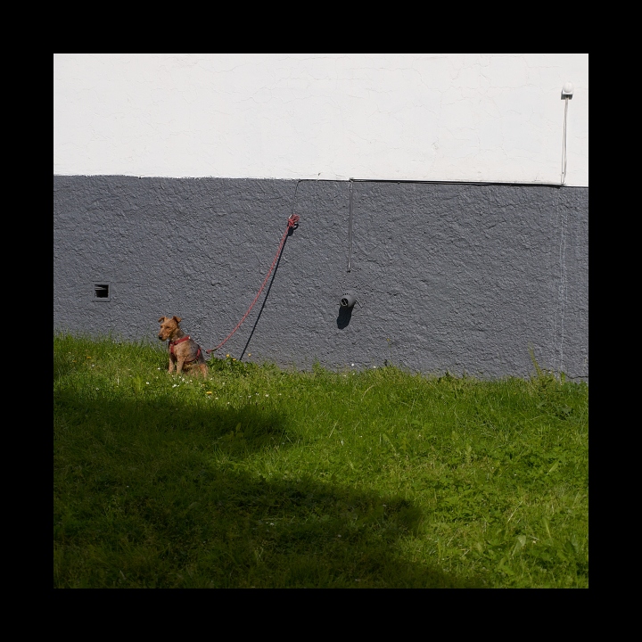 p9129989