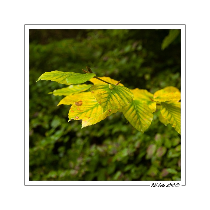 P9139977