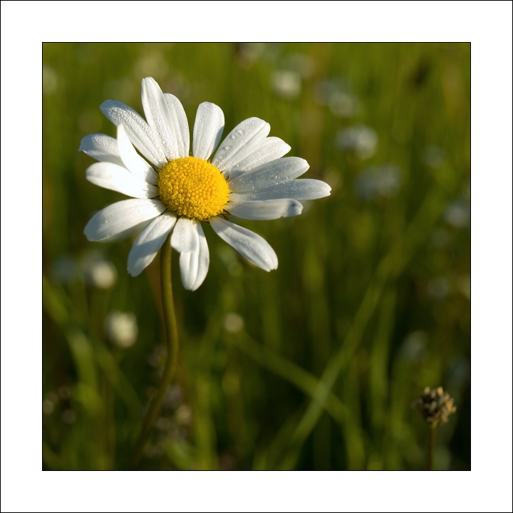 p6054444ok-_1