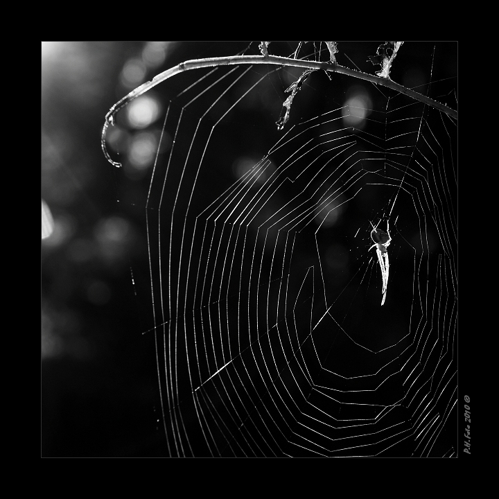 P9190368_1