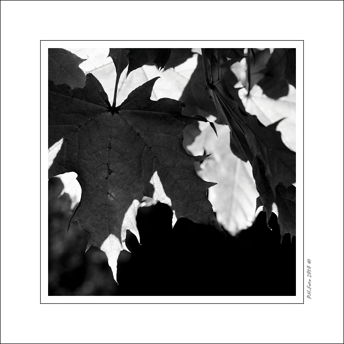 P9190323