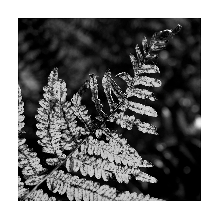 P9230492