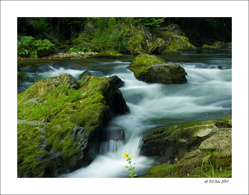 P6275828