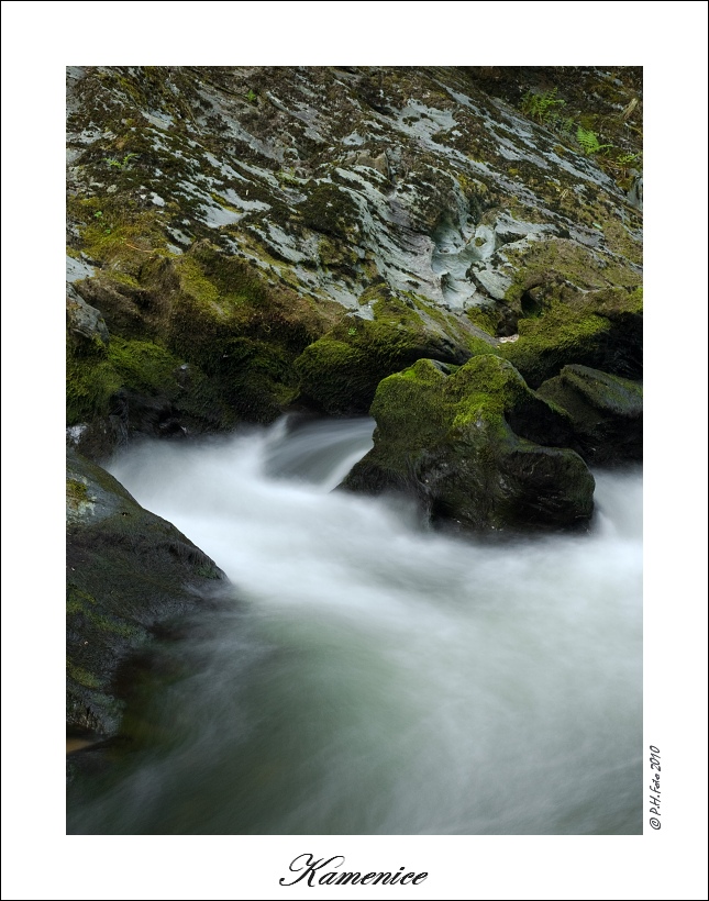 P6275853