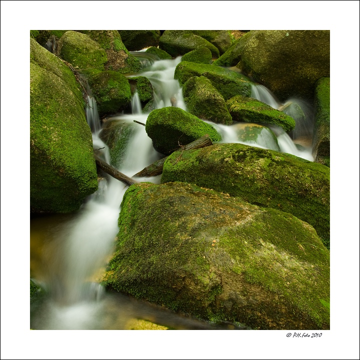 P6205570ok