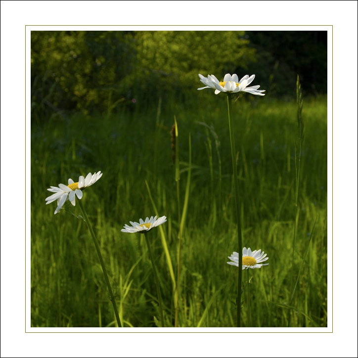 p6084827ok-1x