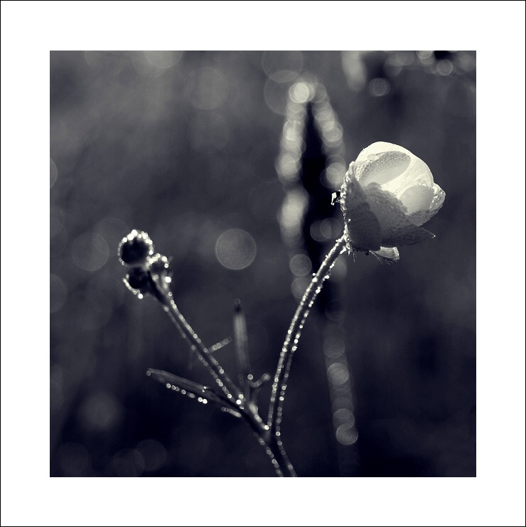 P6054422ok x