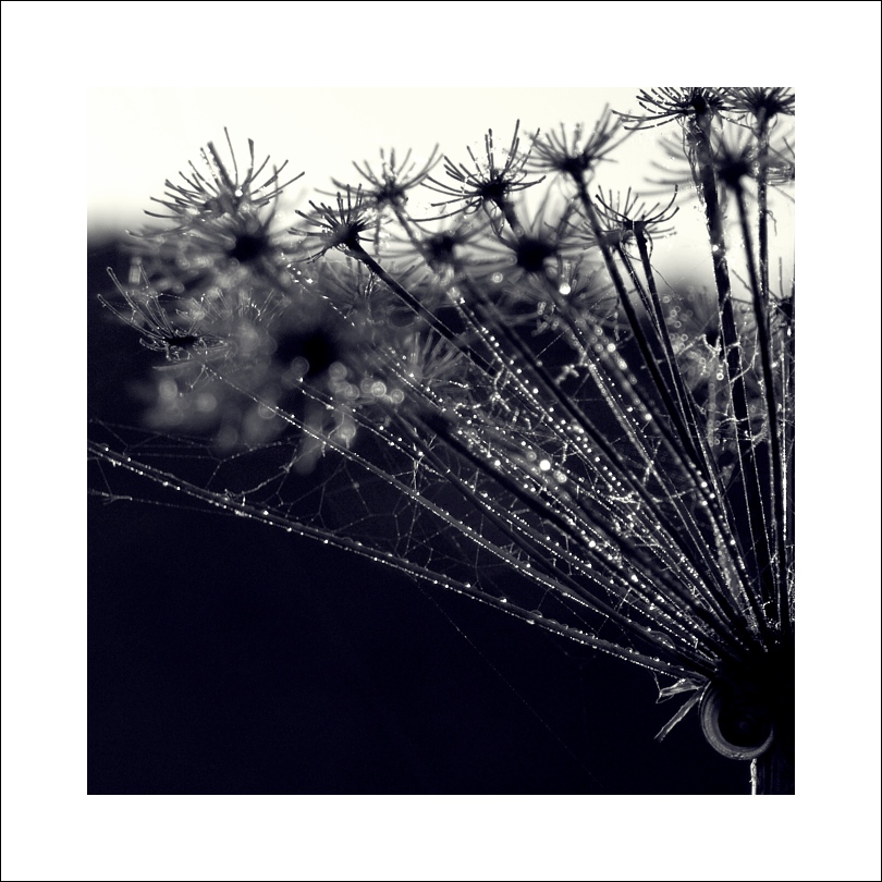 P6054426ok xx
