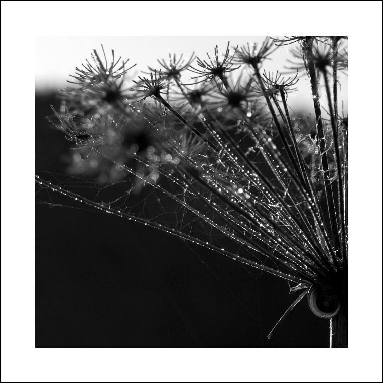 P6054426ok xxc