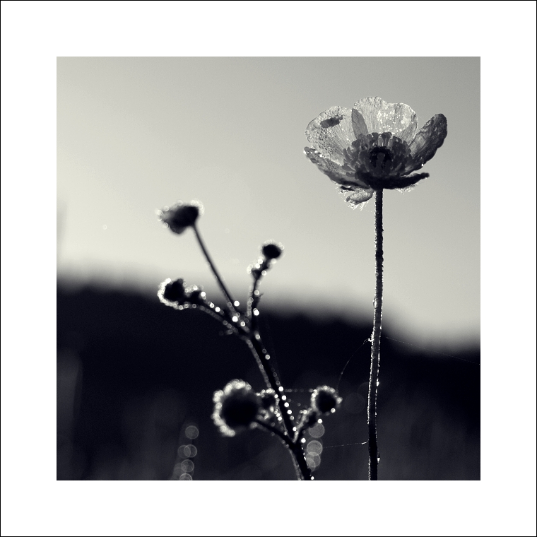 P6054429ok xx