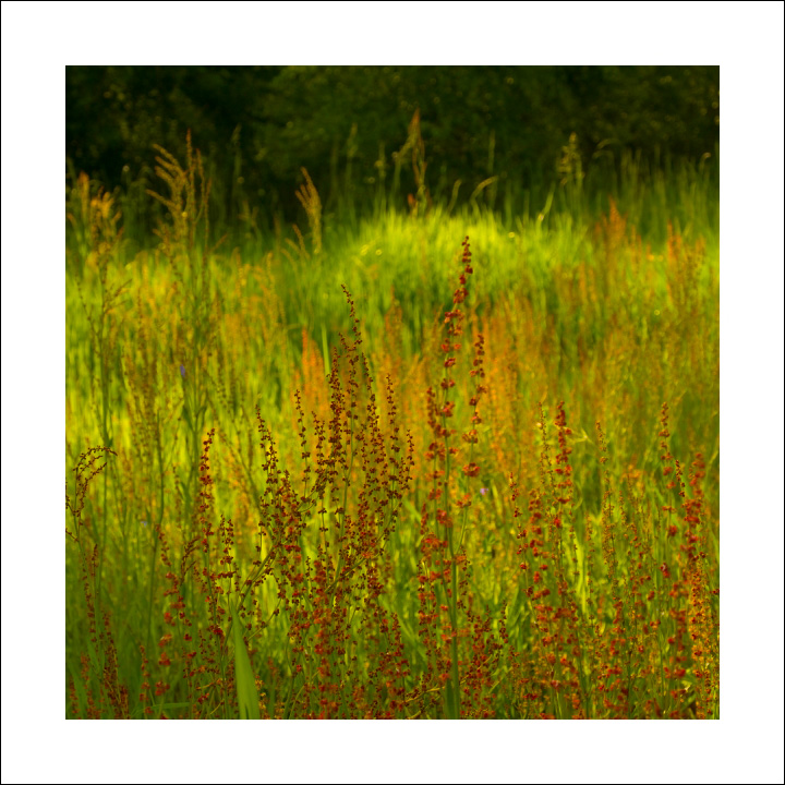 p6084833ok-1