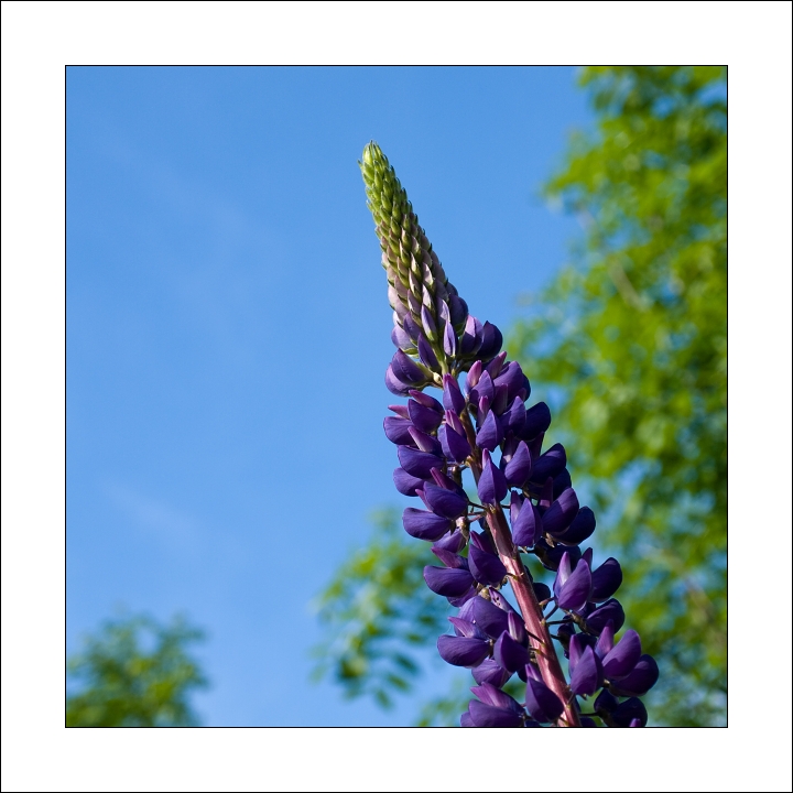 p6084837ok-_1