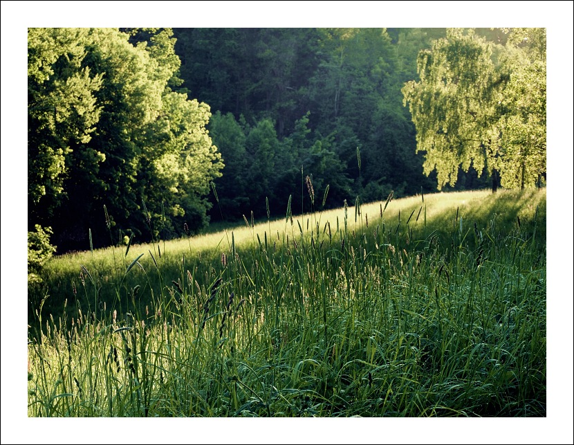 P6054446xdpi500