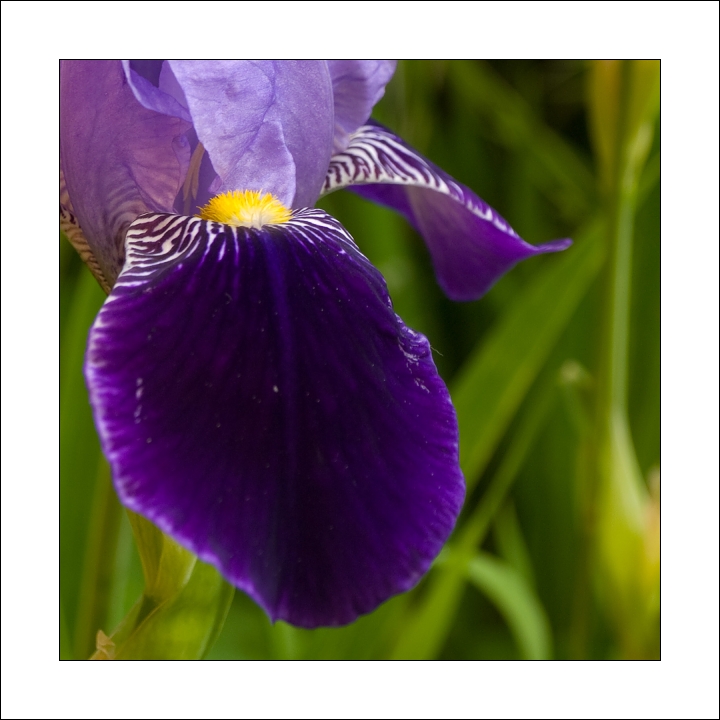 p6215620ok-_1