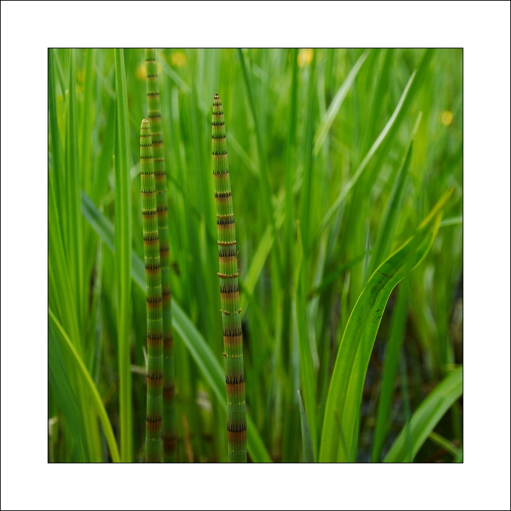 p5083350x
