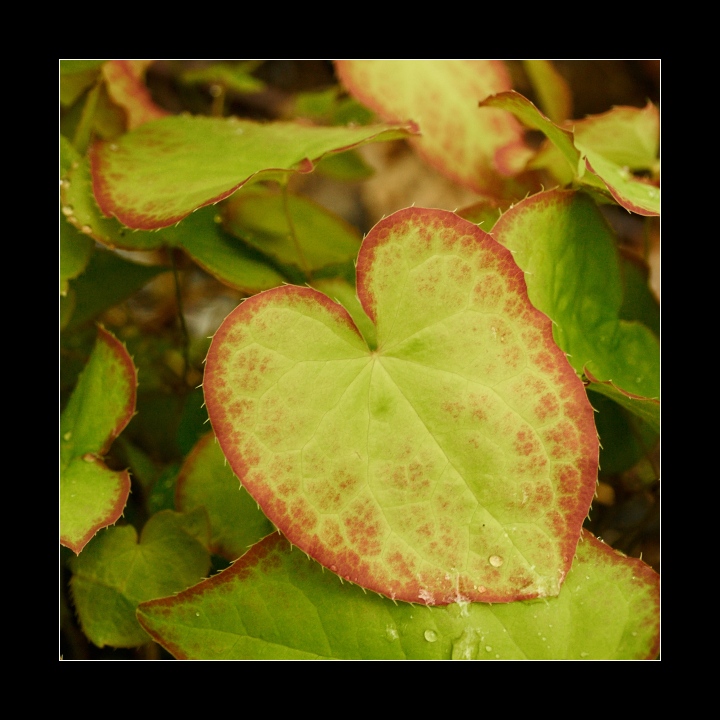 p5113495
