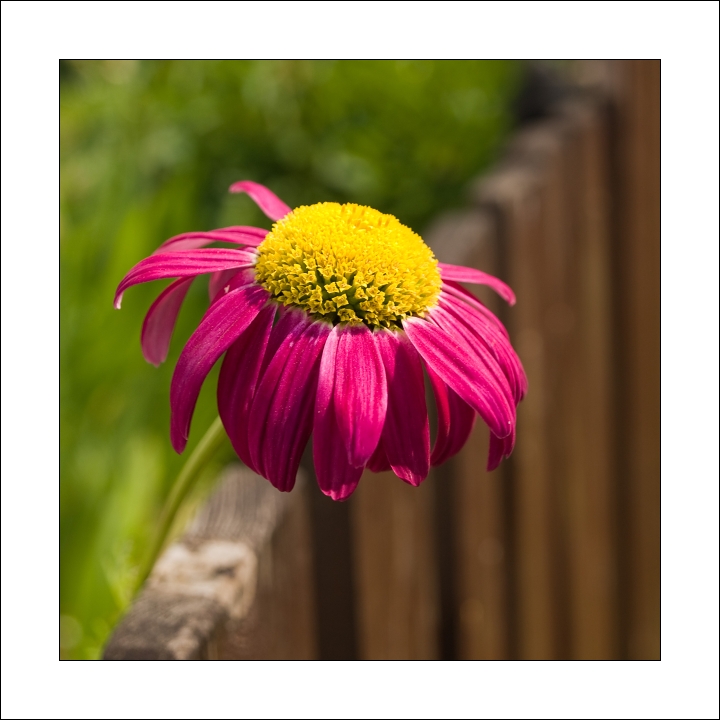 p6265754okx