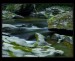 p6275858