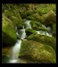 p6205570ok