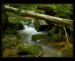 p6205580_1